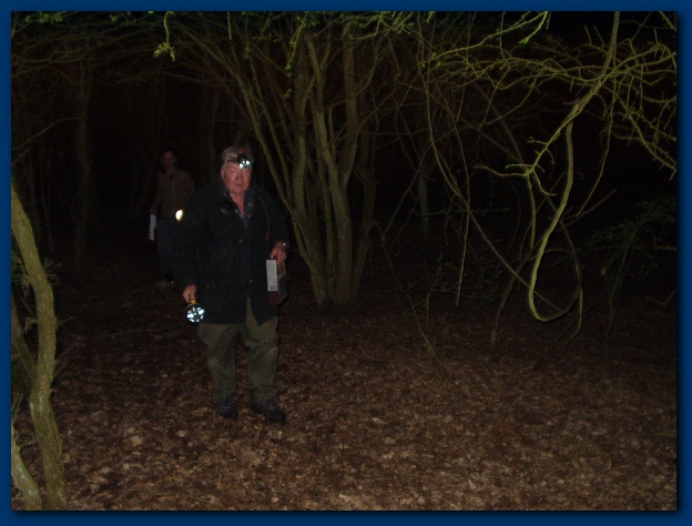 600x449 pixels (112K)